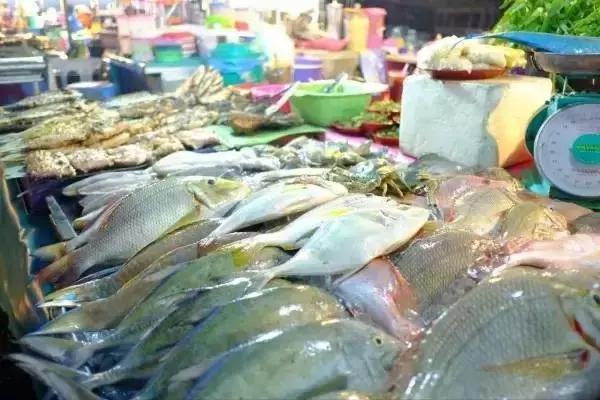 烟台人炫富方式,烟台开海炫富是真的吗