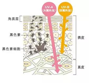 护肤老司机,十大坑人护肤流言