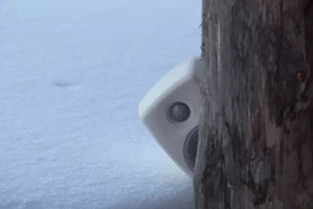 真力音箱g系列 (真力音箱深灰色)