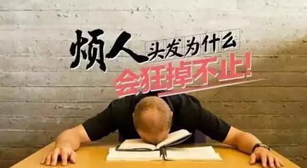 头发油脱发治疗需要多少钱,头发油头皮发痒脱发康王洗发水