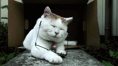 平价面膜敷出大牌效果,如何将面膜敷得服帖