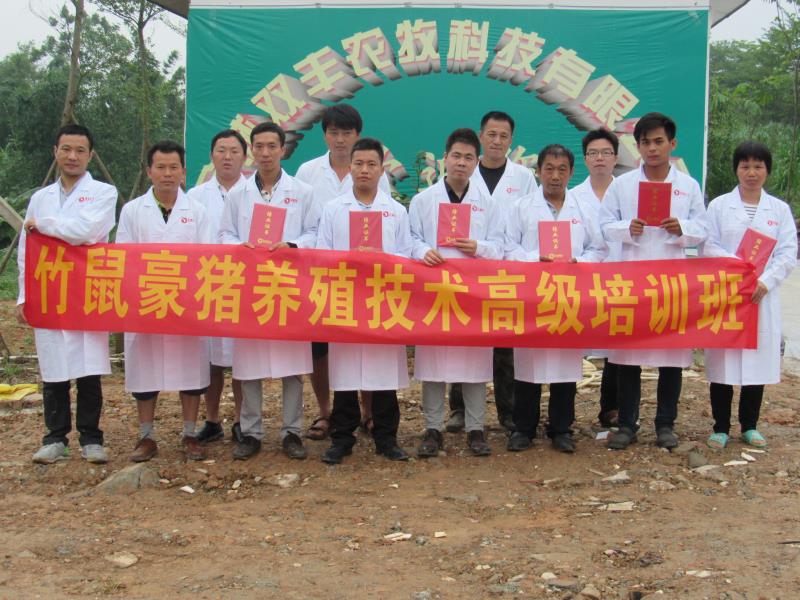 未来5年竹鼠发展前景,湖南竹鼠养殖前景如何