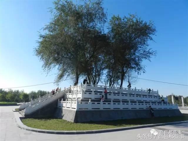 高邑今天的事,高邑那些事儿