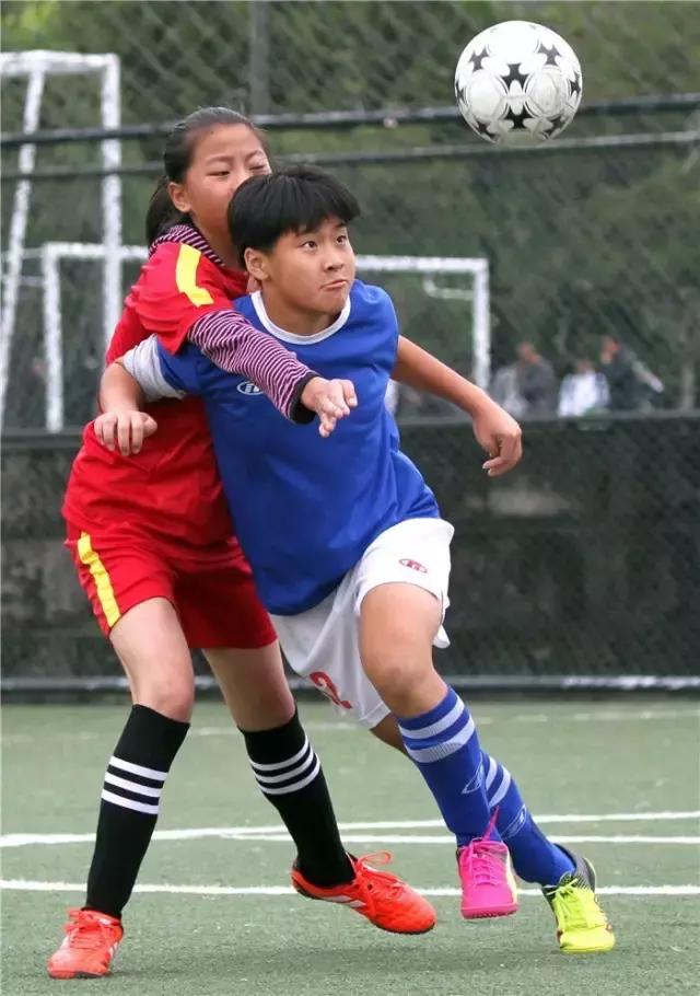 先睹为快,先睹为快校园文化艺术节