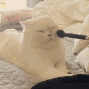 “妆”还是“不妆”？告诉你这些“危险成分”才是真爱~