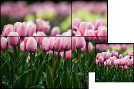 ppt曲屏图片墙怎么做,ppt特色背景墙效果图