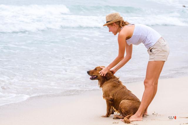 三亚海韵度假和丽禾温德姆,最好的陪伴是陪着你慢慢长大