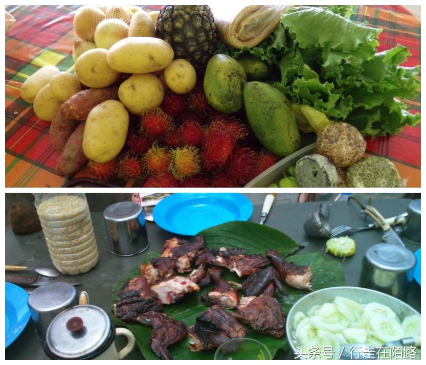 南美洲唯一不想要回主权的国家,全民公投却被全民拒绝