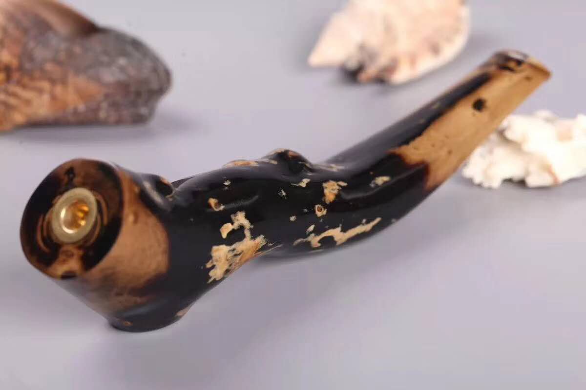 比起珠光宝气的华而不实，献身制成烟嘴的海柳可谓功德无量！