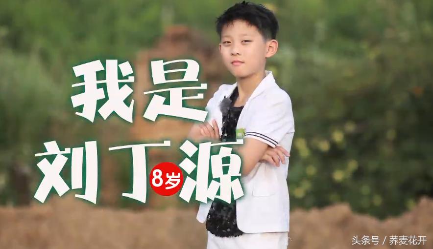 红豆的毒性有多大,红豆毒性是什么