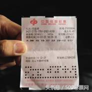 彩票新手入门教程平台,彩票的小技巧让你少走弯路