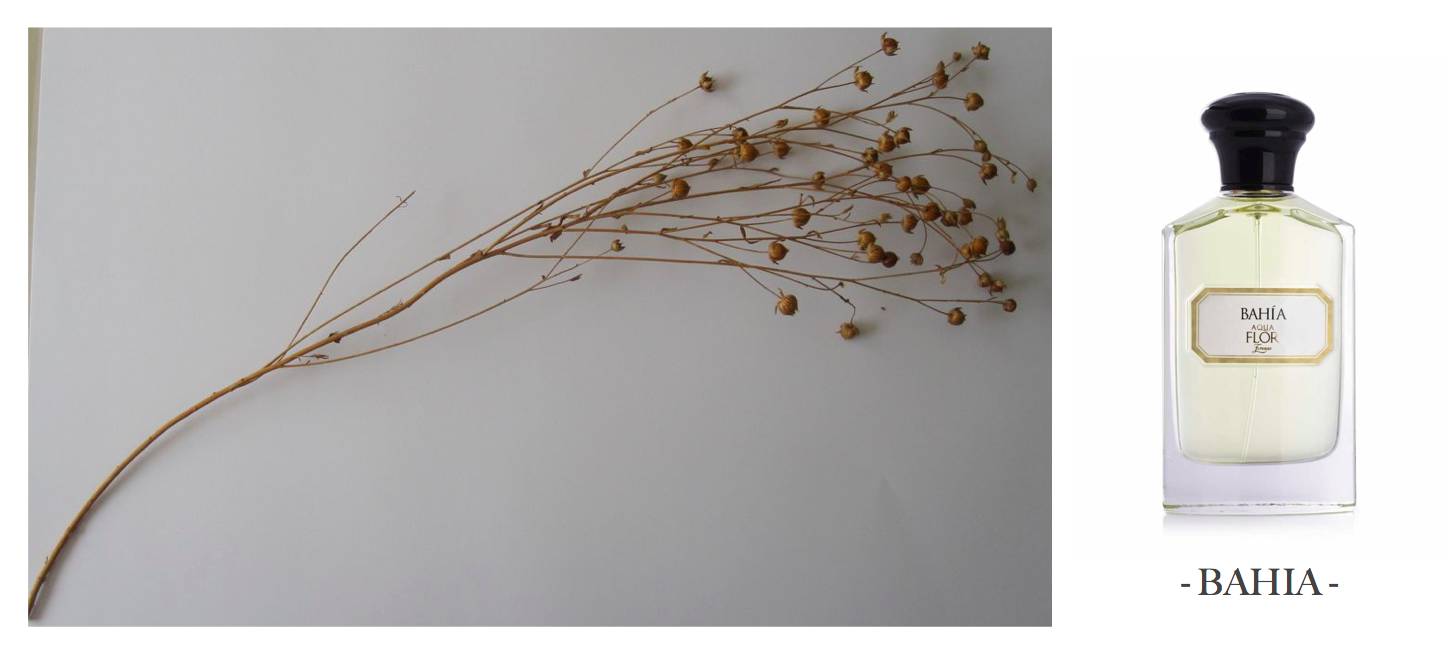 法国最精致的香水,法国最香的香水