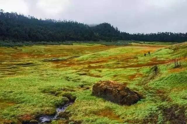 靠近喜马拉雅山脉的印度城市,印度喜马拉雅山下的小镇