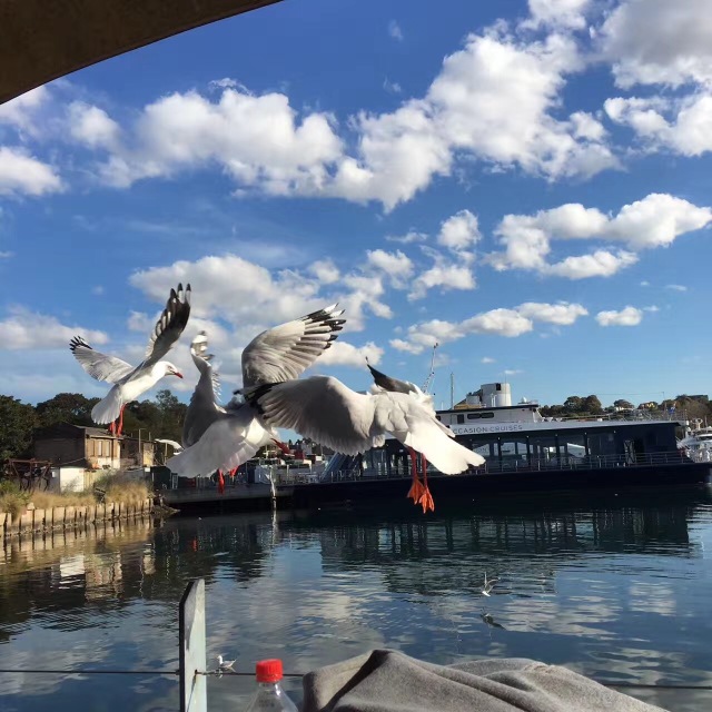 学姐学长的朋友圈,飞过一整个世界