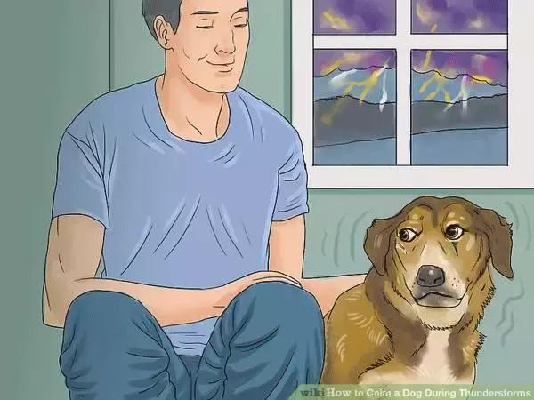 狗狗特别怕打雷怎么办,狗狗害怕打雷闪电怎么办