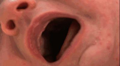 最震撼的纪录片bbc人体的奥秘,人体科普纪录片top10