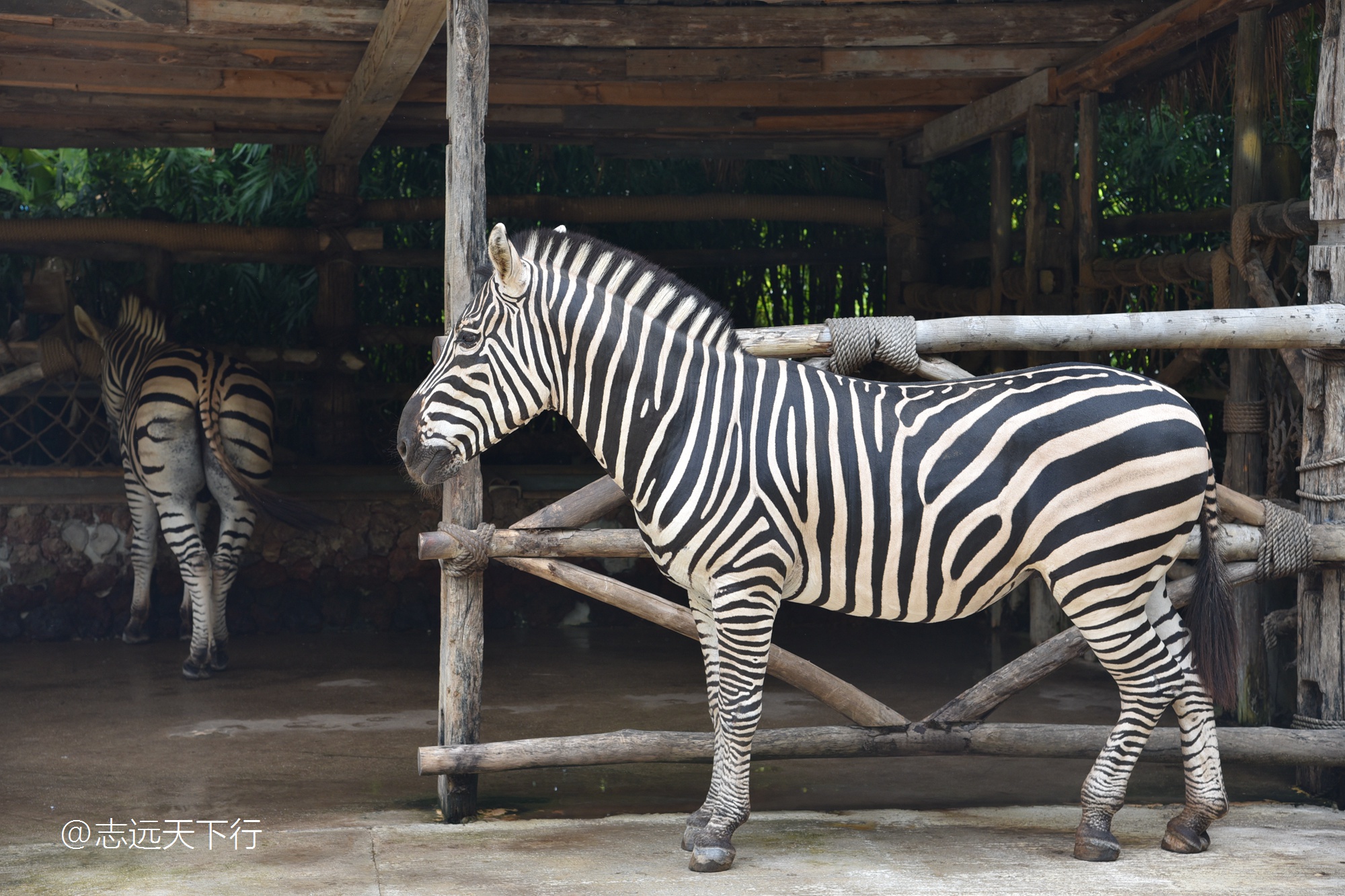 三亚合适小朋友玩的景区,儿童度假旅行三亚