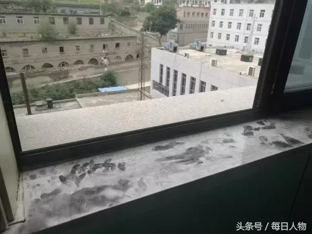 凭什么女人独自承受生育痛苦,每个女人都要经历生育的痛苦