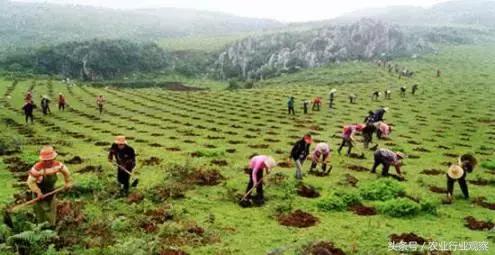 三农日报农产品,三农日报关于农产品