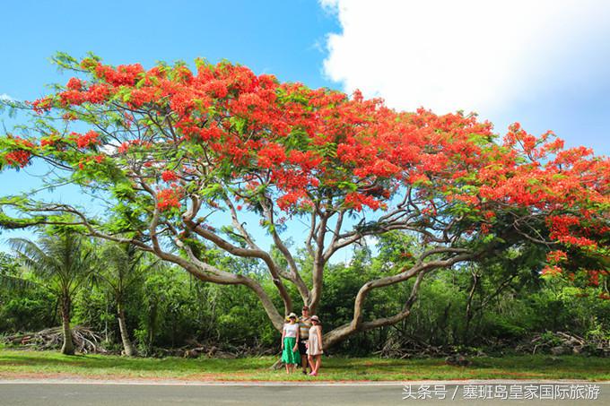 塞班自由行还是跟团游好,塞班岛自由行团