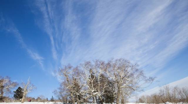 初冬掠影,哈尔滨的冬日魅力