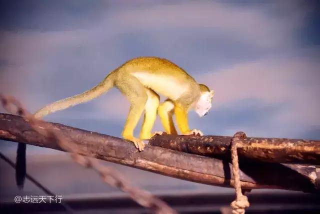 三亚合适小朋友玩的景区,儿童度假旅行三亚