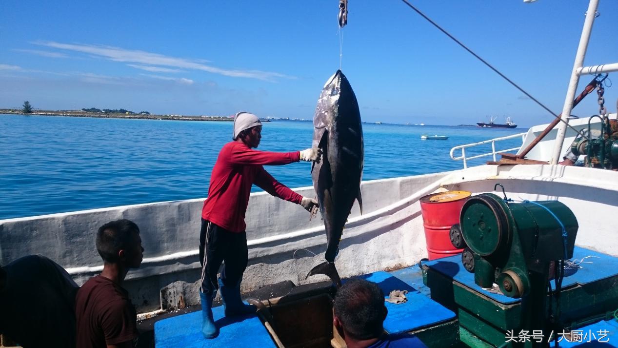 日本金枪鱼刺身生鱼片,真正的蓝鳍金枪鱼生鱼片