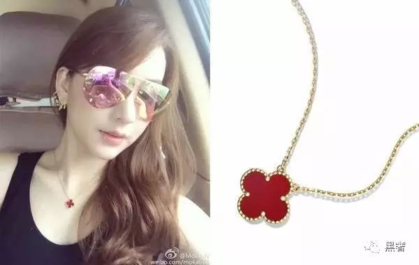 为什么这么多网红戴四叶草,被网红毁掉的植物