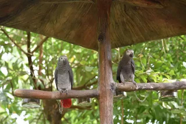 三亚合适小朋友玩的景区,儿童度假旅行三亚
