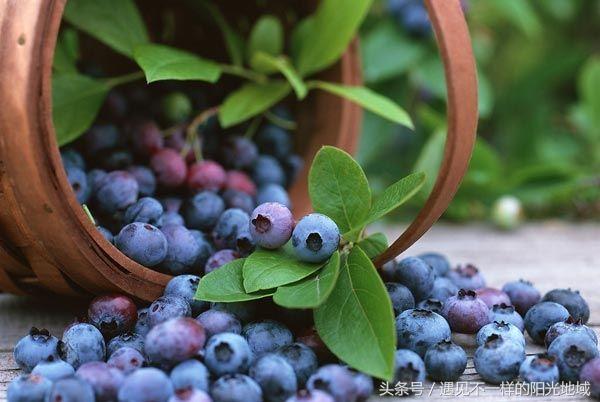 怀孕后脾气差,怀孕之后会易怒吗