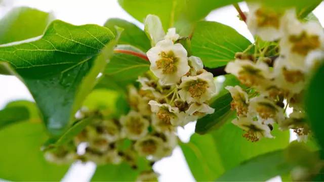 因为一句话恋上一座城,因为一个人恋上一座城