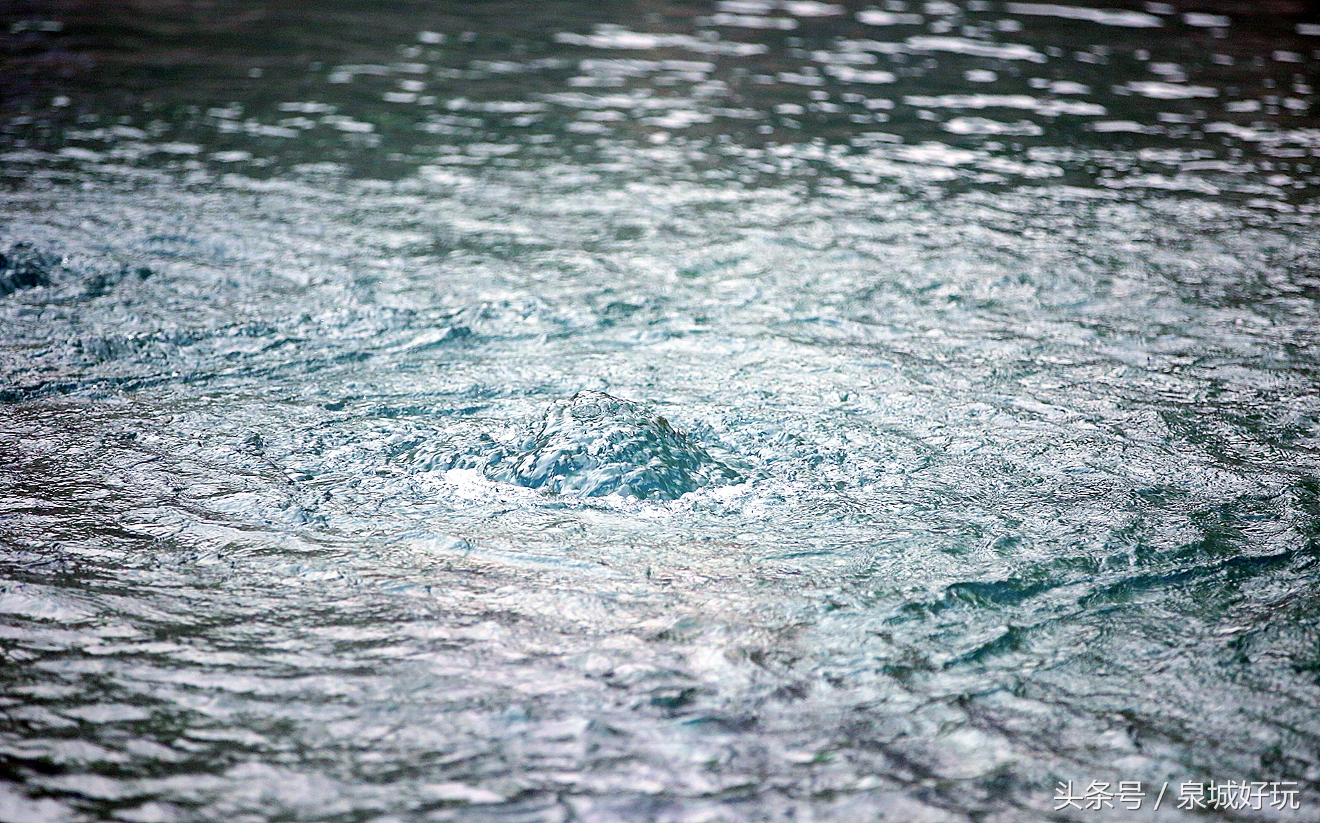 济南教师医护人员免费玩的景点,济南学生可以免费进入的景区