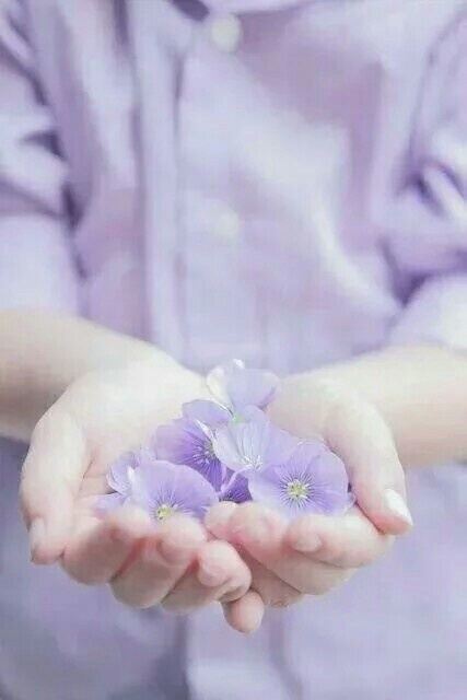 想念是一朵美丽的花,想念是一束五彩缤纷的光