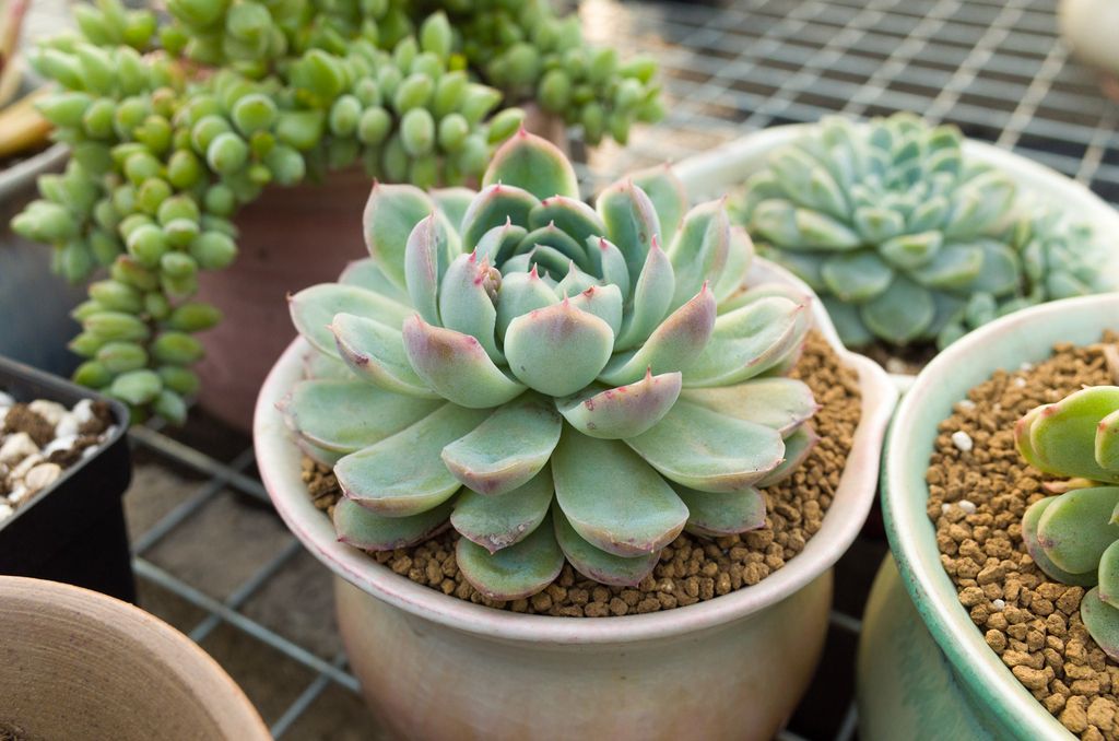 太无聊了怎么办最简单的方法,好无聊该如何充实生活