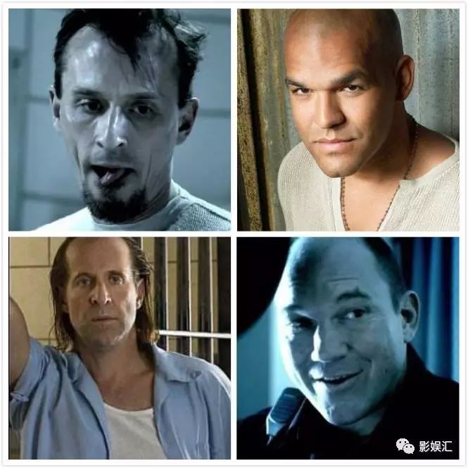 美剧越狱第五季多久更新一集,一口气深度解说美剧越狱第五季