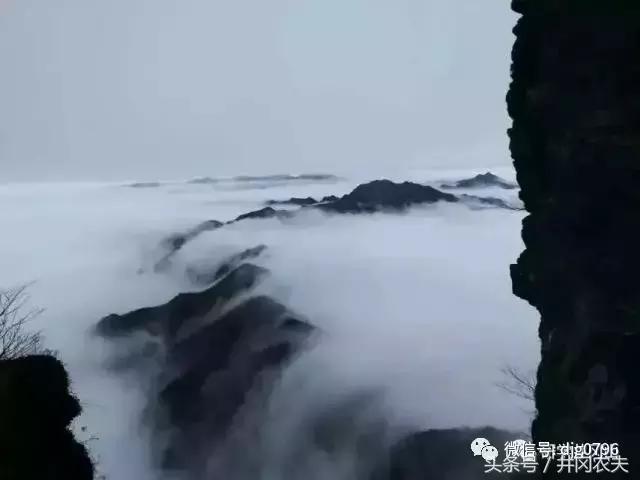 鹅岭瞰胜楼历史,鹅岭茶叶