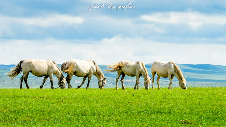 五一锡林郭勒游玩,几月份游锡林郭勒适合