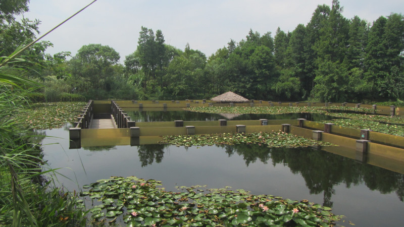 苏州西塘乌镇二日游团从杭州出发,苏州西塘乌镇二日一夜
