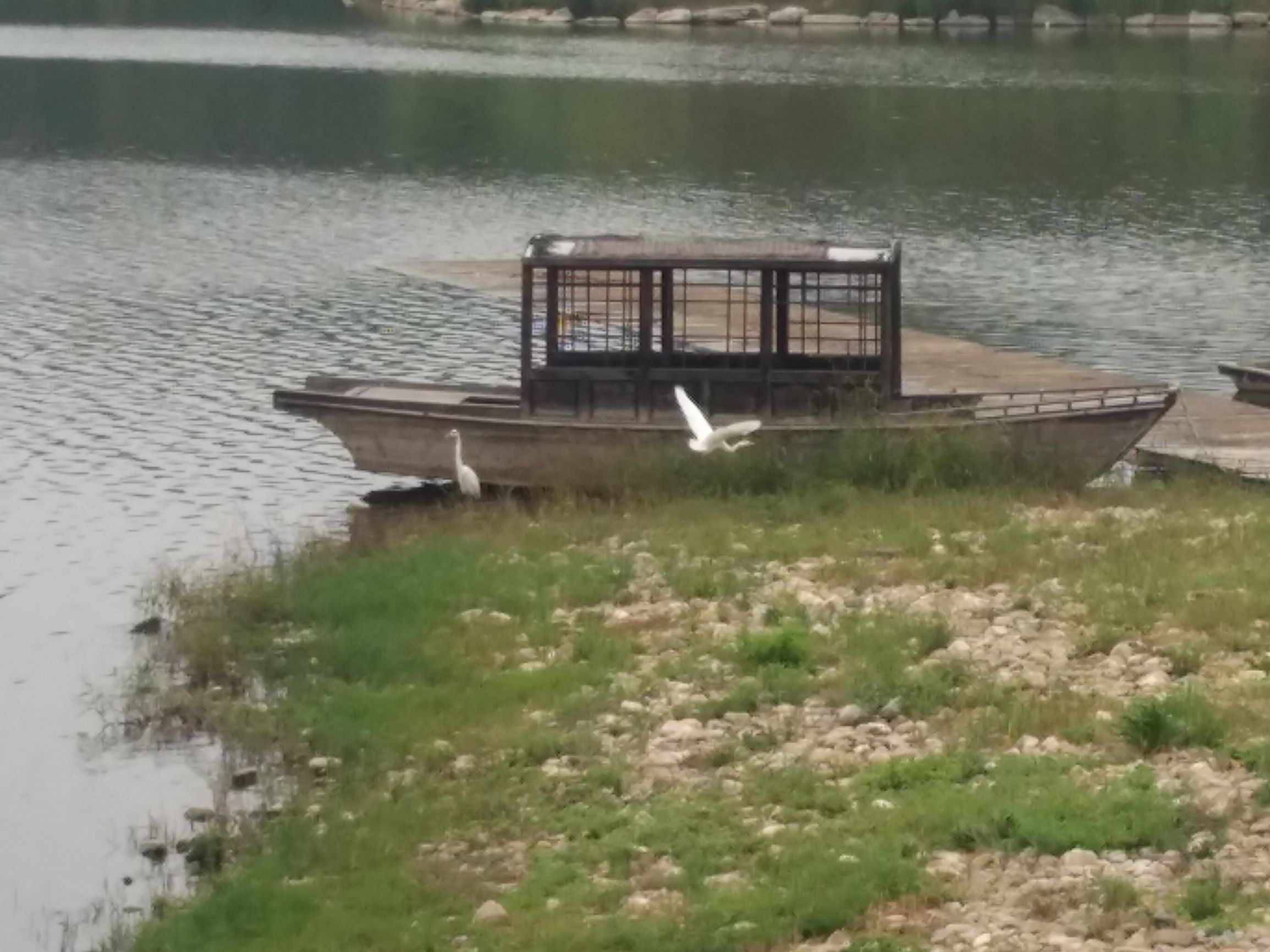 脑血栓后遗症变傻了？没想到天天翻垃圾箱，竟翻出了红宝石钻戒