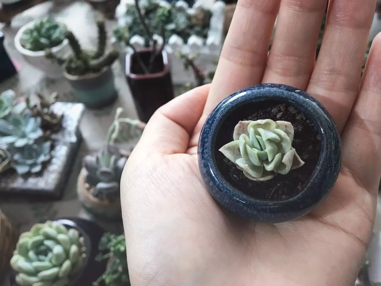 soho西区广告牌 (建外soho西区广告牌)