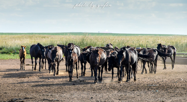 五一锡林郭勒游玩,几月份游锡林郭勒适合