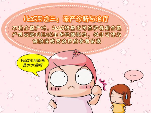 血HCG检查,hcg是检查血还是尿