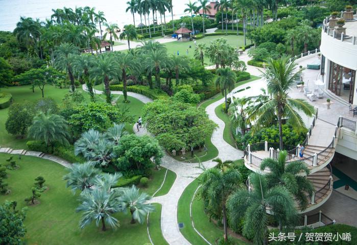 玄学大师香港李居明,李居明大师讲聚宝盆应该放啥