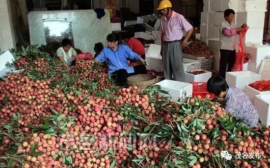 2021年上半年茂名生产总值,茂名前三季gdp增速这么高的原因