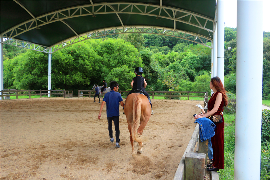 品山水美景房子,品农家菜