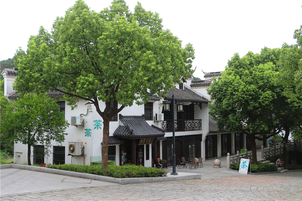 品农家菜,品农家美食