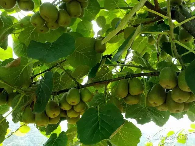 距离成都3个小时的秘境,距离成都8小时以内的景区