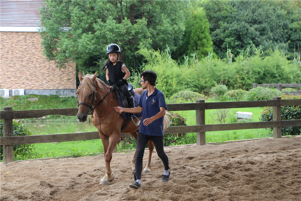 品山水美景房子,品农家菜