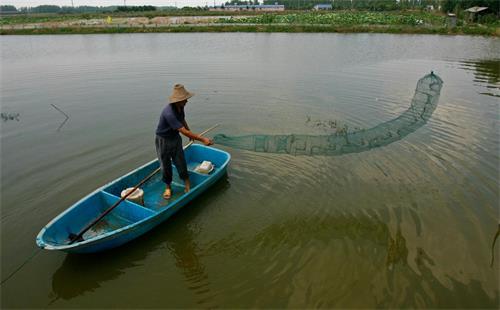 地笼捕龙虾还可以捕多长时间,龙虾地笼怎么捕捉龙虾