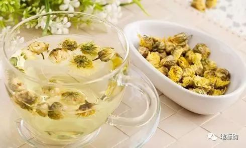 黄山贡菊解腻,经常喝黄山贡菊